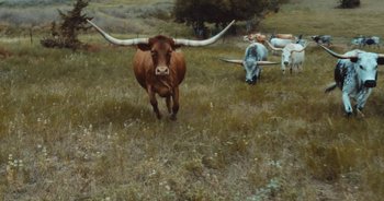 Movie still from “Alt-J - Left Hand Free” (2014), directed by Ryan Staake – Extreme Wide shot, Low angle