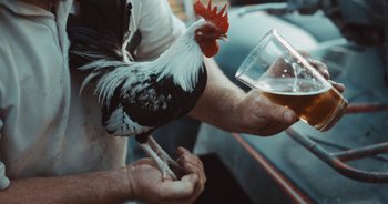 Movie still from “Alt-J - Left Hand Free” (2014), directed by Ryan Staake – Extreme Close Up shot, High angle