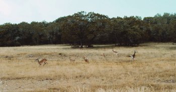 Movie still from “Alt-J - Left Hand Free” (2014), directed by Ryan Staake – Extreme Wide shot, Low angle