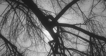Movie still from “Timber Timbre - Curtains?!” (2014), directed by Tyler T. Williams – Extreme Close Up shot, Overhead angle