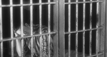 Movie still from “Timber Timbre - Curtains?!” (2014), directed by Tyler T. Williams – Medium shot, High angle