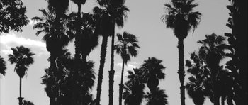 Movie still from “Lana Del Ray - West Coast” (2014), directed by Vincent Haycock – Wide shot, Low angle