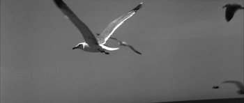 Movie still from “Lana Del Ray - West Coast” (2014), directed by Vincent Haycock – Extreme Close Up shot, Low angle