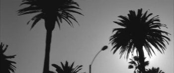 Movie still from “Lana Del Ray - West Coast” (2014), directed by Vincent Haycock – Extreme Close Up shot, Low angle