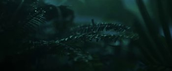 Movie still from “Lorde - Team” (2013), directed by Young Replicant – Extreme Close Up shot, High angle