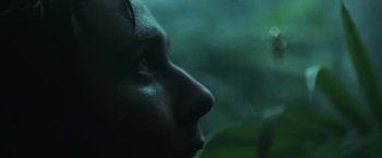 Movie still from “Lorde - Team” (2013), directed by Young Replicant – Extreme Close Up shot, Low angle