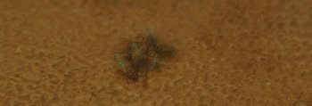 Movie still from “Mathew Lee Cothran - No Way Out” (2013), directed by Tyler T. Williams – Extreme Close Up shot, Overhead angle