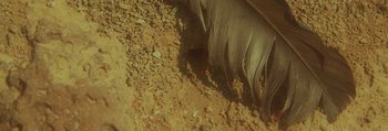 Movie still from “Mathew Lee Cothran - No Way Out” (2013), directed by Tyler T. Williams – Extreme Close Up shot, Overhead angle