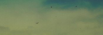Movie still from “Mathew Lee Cothran - No Way Out” (2013), directed by Tyler T. Williams – Extreme Wide shot, Overhead angle
