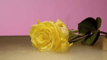 Movie still from “Hook N Sling & Chris Willis - Magnet” (2013), directed by Ryan Staake – Extreme Close Up shot, High angle