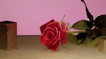 Movie still from “Hook N Sling & Chris Willis - Magnet” (2013), directed by Ryan Staake – Extreme Close Up shot, High angle