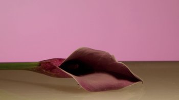 Movie still from “Hook N Sling & Chris Willis - Magnet” (2013), directed by Ryan Staake – Extreme Close Up shot, High angle