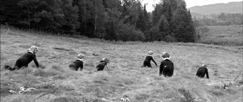 Movie still from “Arcade Fire - Reflektor” (2013), directed by Anton Corbijn – Extreme Wide shot, High angle