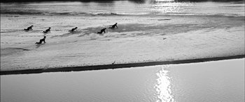 Movie still from “Arcade Fire - Reflektor” (2013), directed by Anton Corbijn – Extreme Wide shot, High angle