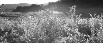 Movie still from “Arcade Fire - Reflektor” (2013), directed by Anton Corbijn – Extreme Wide shot, Low angle