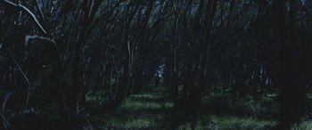 Movie still from “James Blake - Overgrown” (2013), directed by Nabil Elderkin – Extreme Wide shot, High angle
