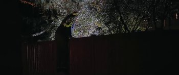 Movie still from “Youth Lagoon - Mute” (2013), directed by Tyler T. Williams – Extreme Wide shot, Low angle