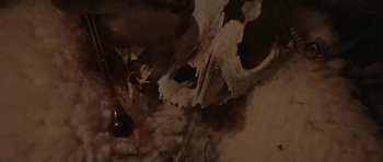 Movie still from “Youth Lagoon - Mute” (2013), directed by Tyler T. Williams – Extreme Close Up shot, Overhead angle