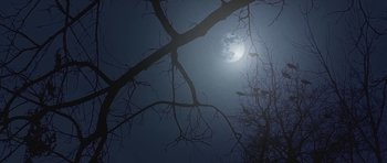 Movie still from “Youth Lagoon - Mute” (2013), directed by Tyler T. Williams – Wide shot, Low angle