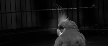 Movie still from “The xx - Fiction” (2013), directed by Young Replicant – Extreme Close Up shot, Low angle