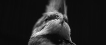 Movie still from “The xx - Fiction” (2013), directed by Young Replicant – Extreme Close Up shot, Low angle