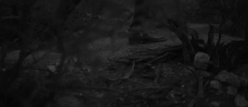 Movie still from “The xx - Fiction” (2013), directed by Young Replicant – Extreme Close Up shot, High angle