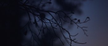 Movie still from “Bonobo - First Fires” (2013), directed by Young Replicant – Extreme Close Up shot, Low angle