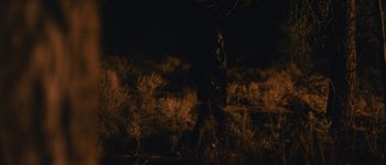 Movie still from “Bonobo - First Fires” (2013), directed by Young Replicant – Extreme Wide shot, High angle