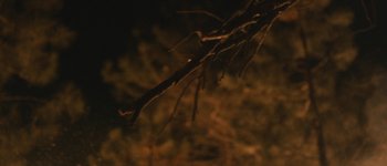 Movie still from “Bonobo - First Fires” (2013), directed by Young Replicant – Extreme Close Up shot, Low angle