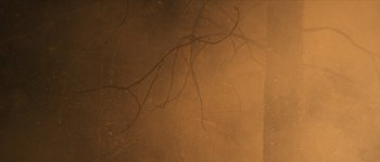 Movie still from “Bonobo - First Fires” (2013), directed by Young Replicant – Extreme Close Up shot, High angle