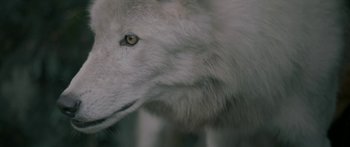 Movie still from “M83 - Wait” (2012), directed by Manu Cossu – Extreme Close Up shot, High angle