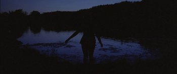 Movie still from “Grizzly Bear - Yet Again” (2012), directed by Emily Kai Bock – Extreme Wide shot, High angle