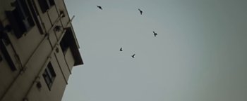 Movie still from “Gangs of Ballet - Hello Sweet World” (2012), directed by Salomon Ligthelm – Extreme Close Up shot, Low angle