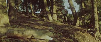 Movie still from “Youth Lagoon - Montana” (2011), directed by Tyler T. Williams – Wide shot, Low angle