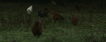 Movie still from “Bon Iver - Towers” (2011), directed by Nabil Elderkin – Medium shot, High angle