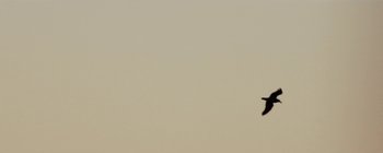 Movie still from “Bon Iver - Towers” (2011), directed by Nabil Elderkin – Extreme Close Up shot, Low angle