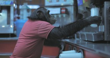 Movie still from “Bag Raiders - Sunlight” (2010), directed by Manu Cossu – Medium shot, Low angle