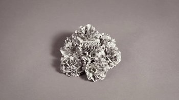 Movie still from “Dels - Trumpalump” (2010), directed by Us – Extreme Close Up shot, Overhead angle