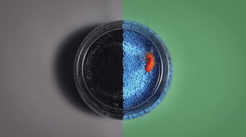 Movie still from “Dels - Trumpalump” (2010), directed by Us – Extreme Close Up shot, Overhead angle