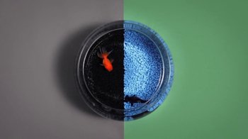 Movie still from “Dels - Trumpalump” (2010), directed by Us – Extreme Close Up shot, Overhead angle