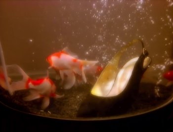 Movie still from “Billy Idol - Cradle Of Love” (1990), directed by David Fincher – Extreme Close Up shot, High angle