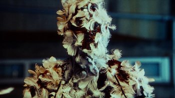Movie still from “slowthai - Yum” (2023), directed by Owls – Extreme Close Up shot, Overhead angle