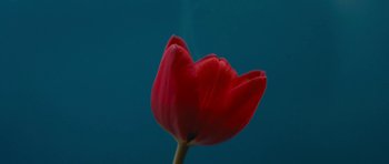 Movie still from “aexattack - Next Year” (2021), directed by Jetski – Extreme Close Up shot, Low angle