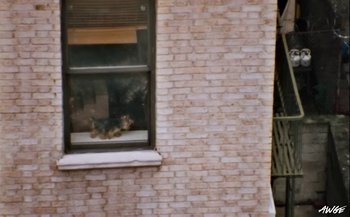 Movie still from “A$AP Rocky - D.M.B.” (2022), directed by A$AP Rocky – Wide shot, High angle