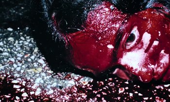 Movie still from “João Borsch - Apaz” (2023), directed by Inês Aires – Extreme Close Up shot, Overhead angle