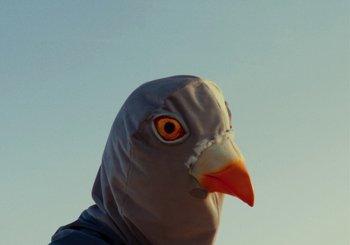 Movie still from “Miel De Montagne - Le Pigeon” (2023), directed by Morgan Jouquand – Extreme Close Up shot, Low angle
