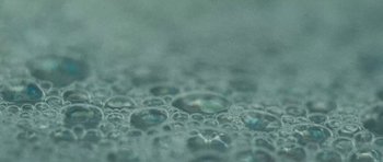 Movie still from “Ant Antic - Whoop!” (2019), directed by Jetski – Extreme Close Up shot, Overhead angle