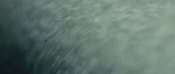 Movie still from “Ant Antic - Whoop!” (2019), directed by Jetski – Extreme Close Up shot, Overhead angle