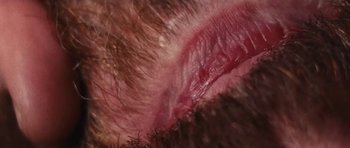 Movie still from “Ant Antic - Whoop!” (2019), directed by Jetski – Extreme Close Up shot, Overhead angle