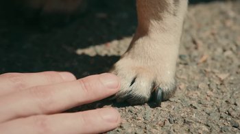 Movie still from “Welshy - All for You” (2021), directed by Arthur Studholme – Extreme Close Up shot, High angle